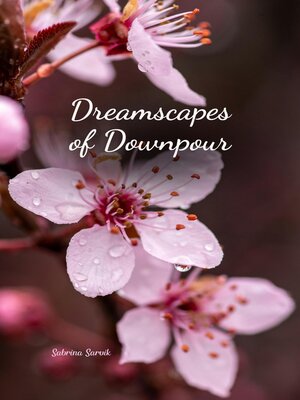 cover image of Dreamscapes of Downpour